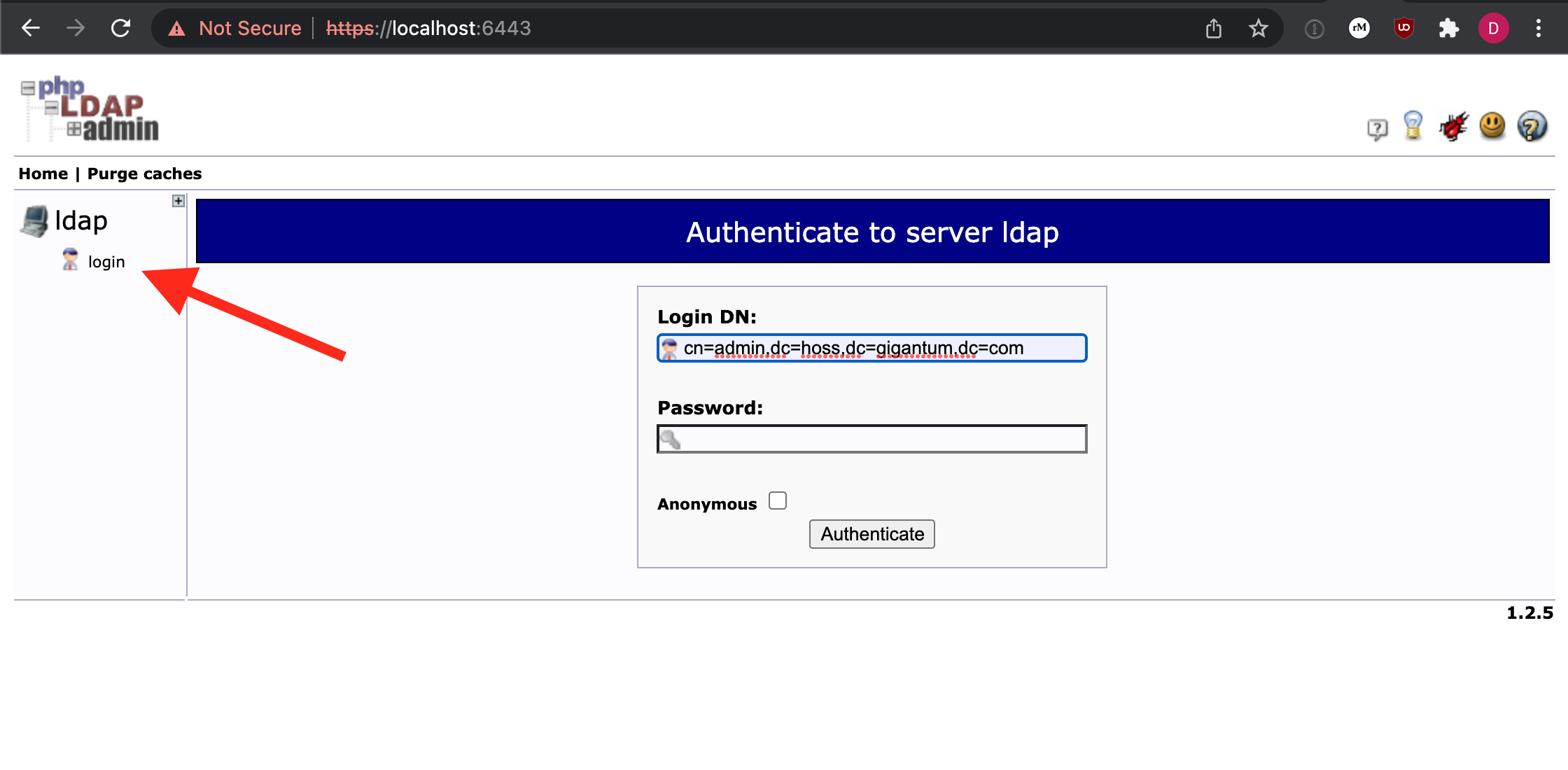 recaptcha example